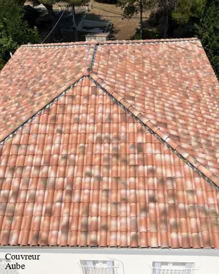 Couvreur 10 Aube OSHEN DE L'ALU