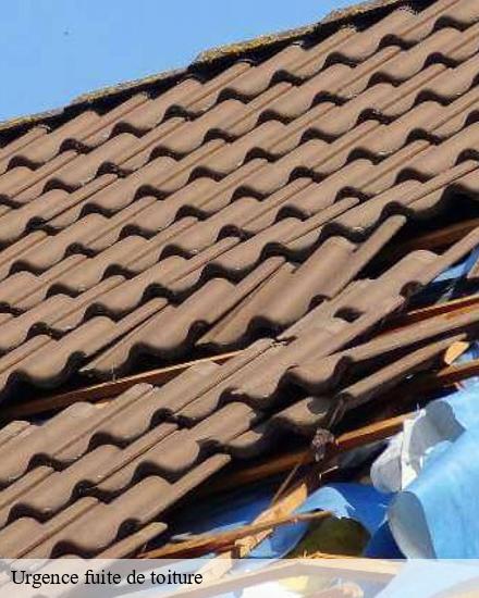 Urgence fuite de toiture  courtavant-10400 CB toiture